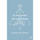Ce inseamna sa fii un lider bun - Daniel Goleman - Delumani - Magazin Romanesc 